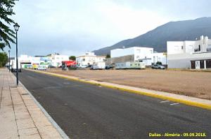36 DALIAS (9)